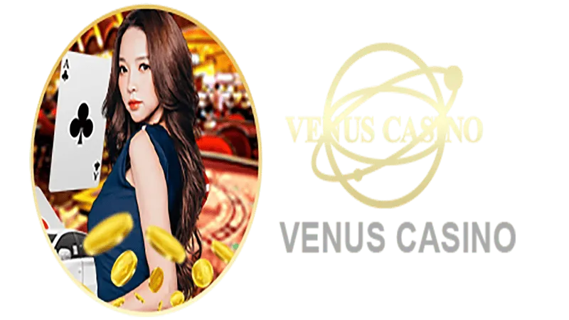 qg bet Informações básicas sobre o saguão do cassino Venus